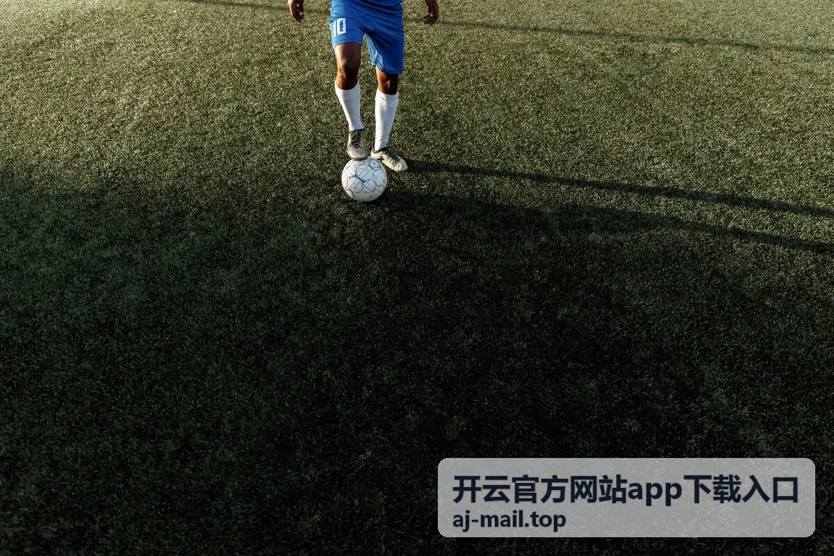 版本功能说明对照示意图