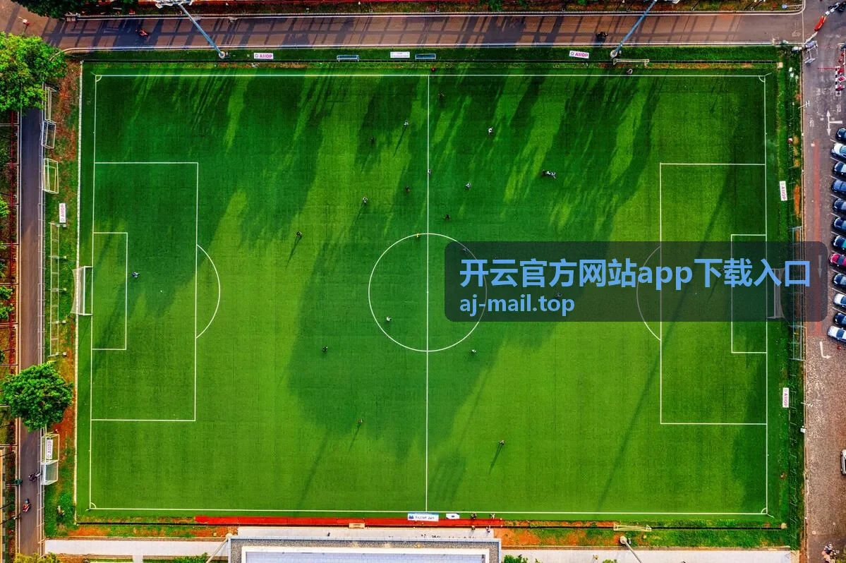 开云官方网站app下载入口运行表现说明配图